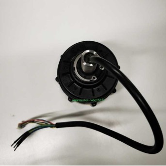 Moteur de roue avant pour LUBA 1 MAMMOTION