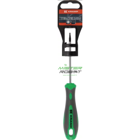 Tournevis Torx 6 T6 x 75mm